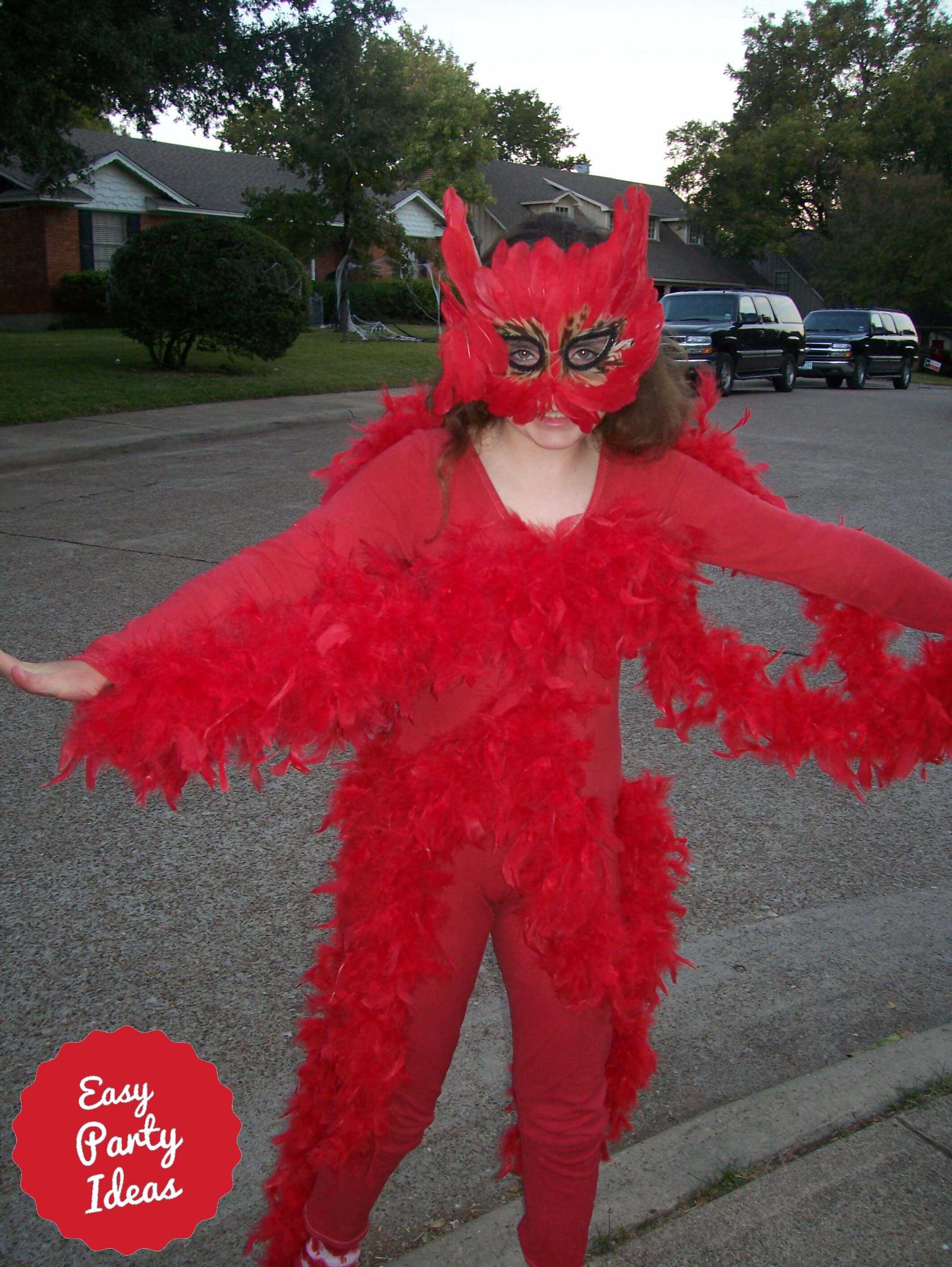 Homemade Bird Costume