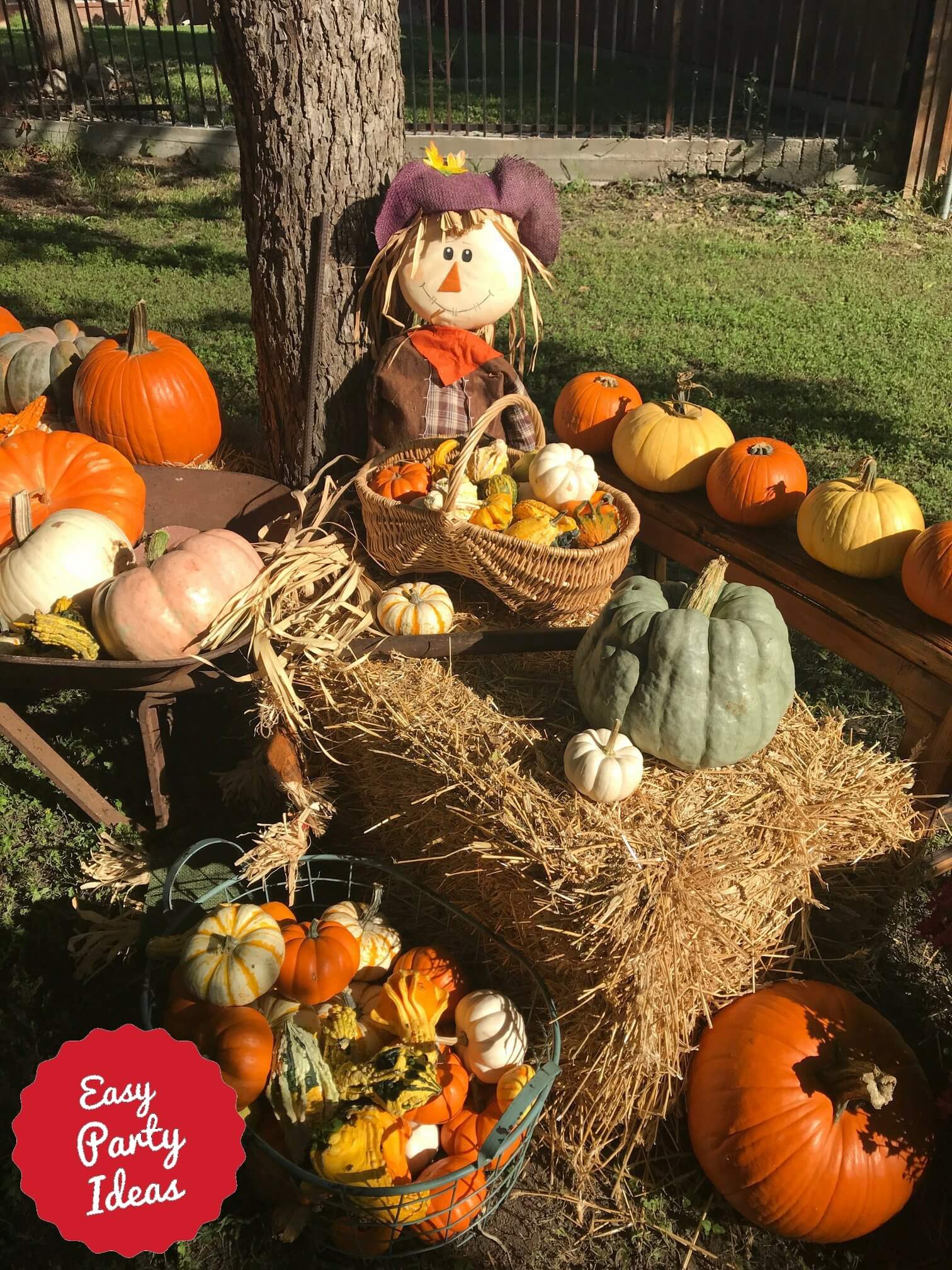 Fall Scarecrow Photo Background or Photo Booth