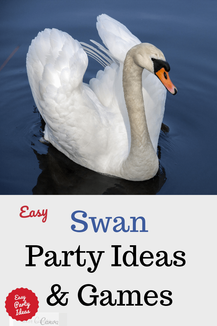 Swan Party Ideas