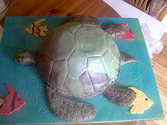 Sea Turtle Cake