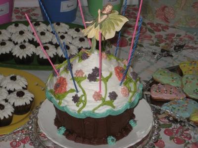 Fairy Cake