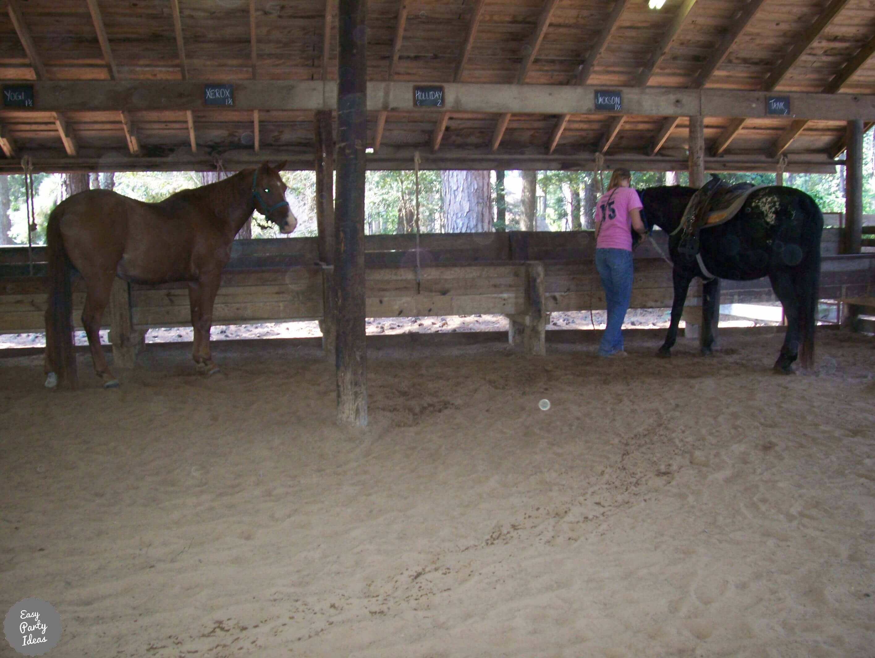 Horse Stable