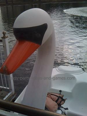 swan paddle boat