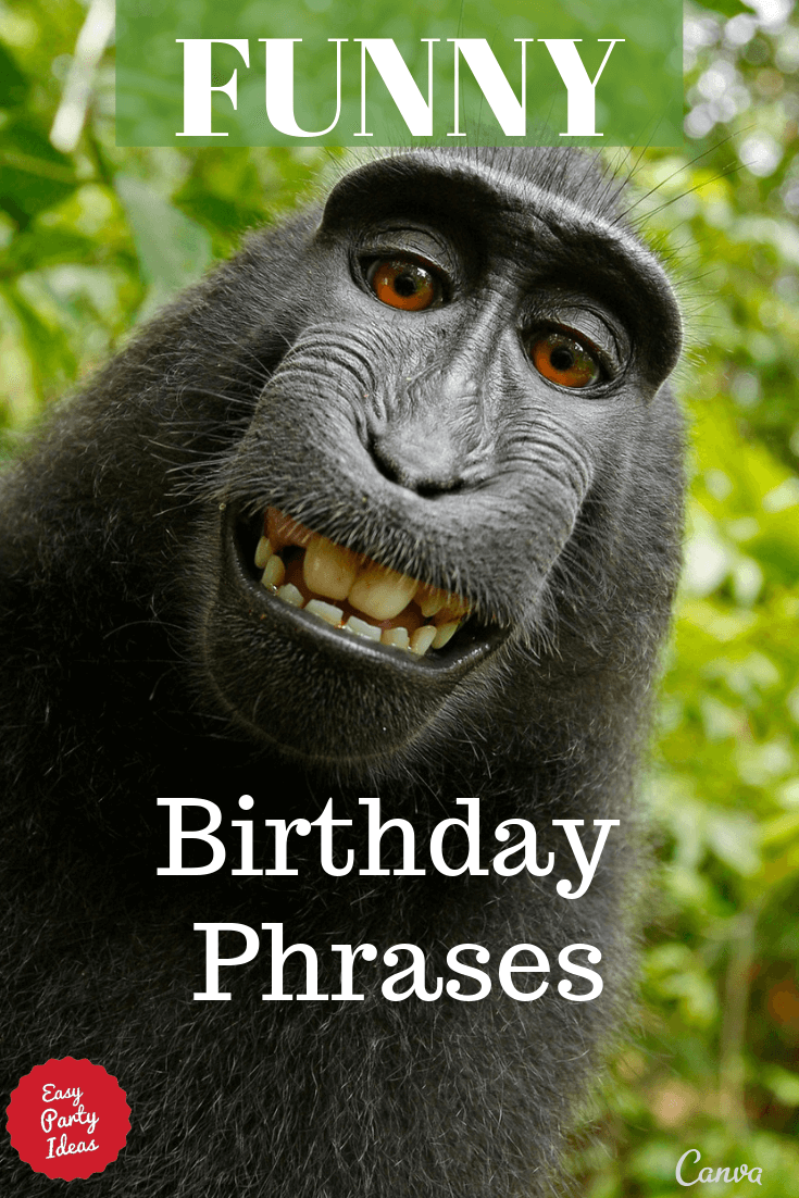 Funny Birthday Phrases