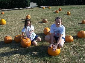 Pumpkin Patch